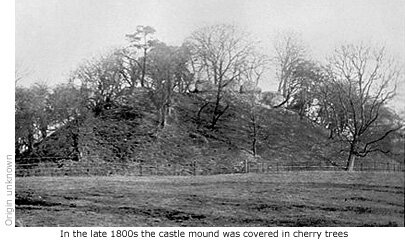 Castle mound covered in cherry trees